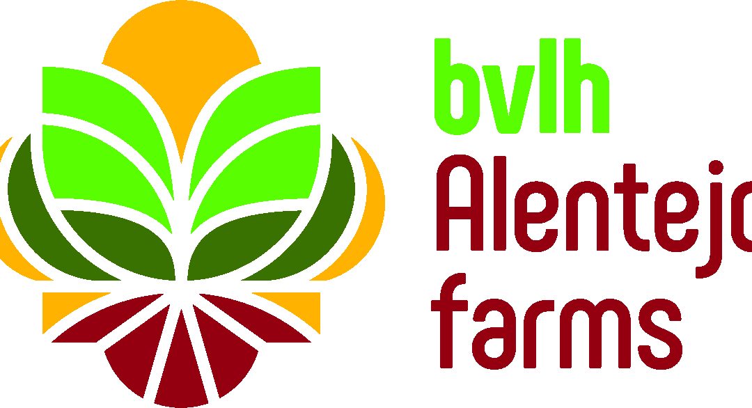 BVLH