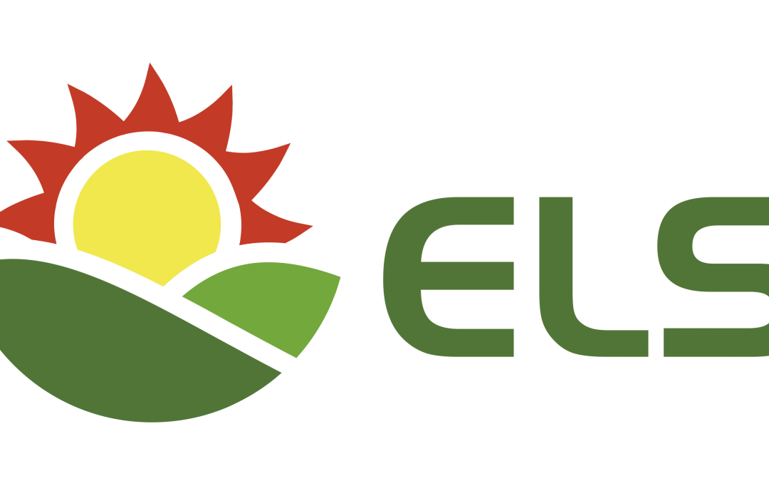 Estevão Luis Salvador, Lda
