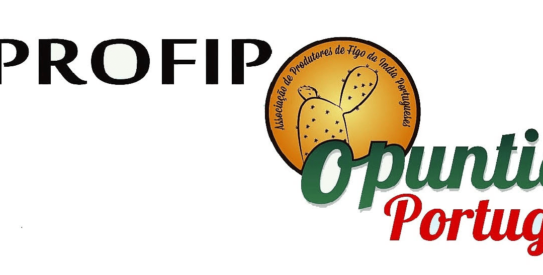 APROFIP – Associação de Profissionais de Figo da India Portugueses