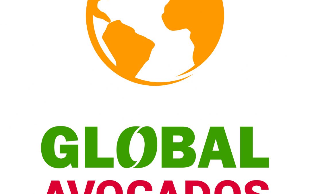 Global Avocados