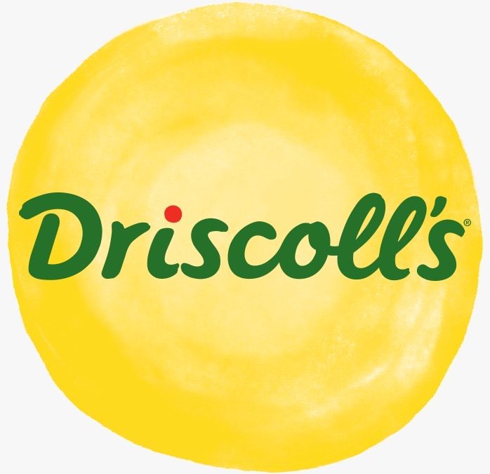 Driscoll´s